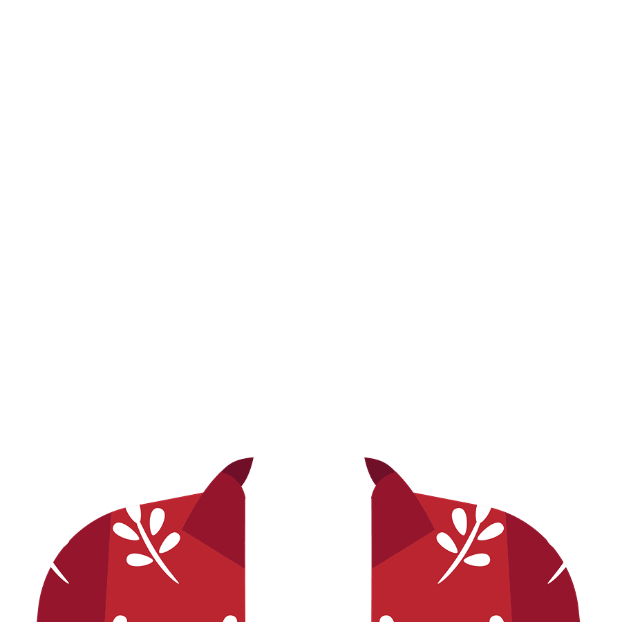 casual shirt 