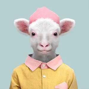 inscription 243790bb688b5fb5b791c6a553eb9d16c07ab1536b0e6eeea238aa763cca949fi0