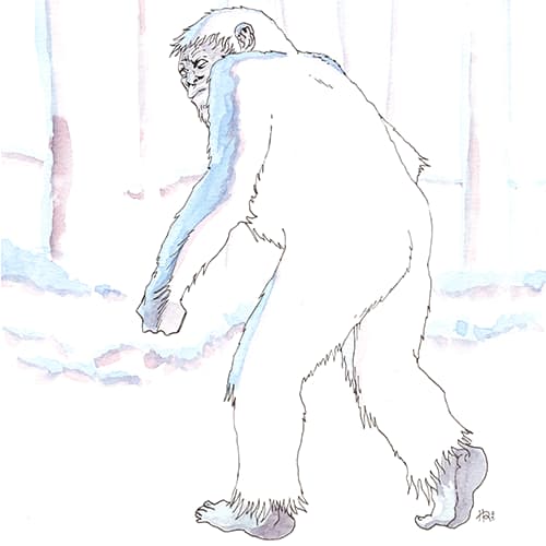 inscription 27cbd9d6383c1bf25ec951dd2cf18096d1f75d00b94d019ee65d78c31a88c492i1