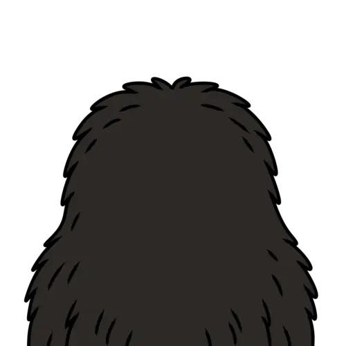 inscription 33333d78976df03f9f05bb11e08372af33e2a2c720054a3b73ed0a0ade723ef9i6