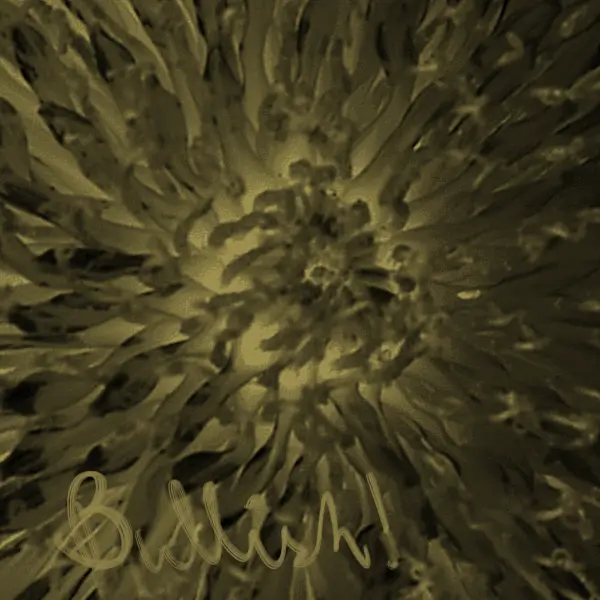 inscription 45c9e3795b141aea2350242efd8c11be4baf0b42cc156f8d6ad9e204d576b9f2i7