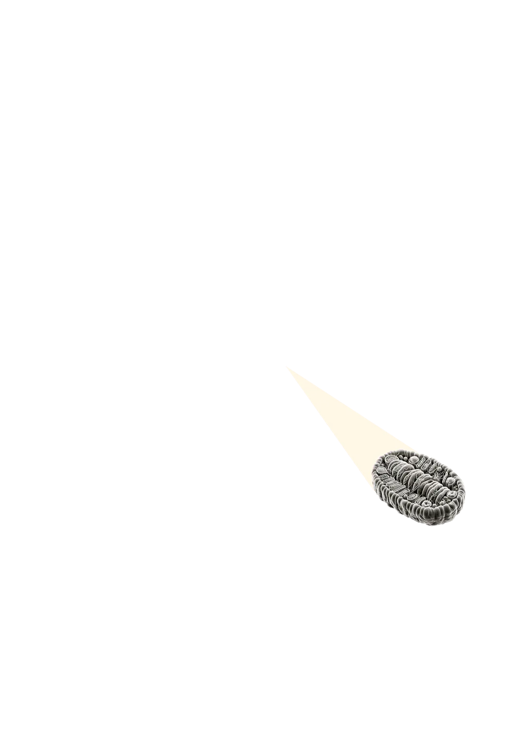 inscription 53e772e40563d45bc53b0d2514d4030601485f91705f03afa30f5b2cc5636e83i0