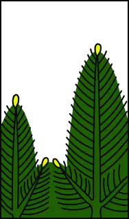 inscription 58cb0076177816e17970c591a757c21c640832b3974ba00c41e4beb5238188d2i0