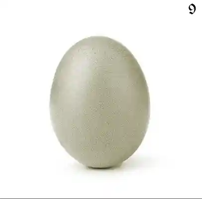 inscription 603b2723c450b95575176c3a5599ad389d6b559e245ef3edb1065b44cc2ea506i0