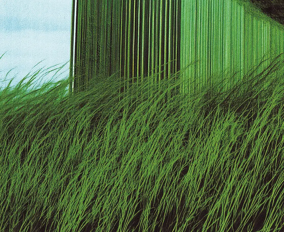 inscription 74782c81b4b935fb78e1d64c50f02063c3c6ae16977fa5ce404d77fc420b4f38i0