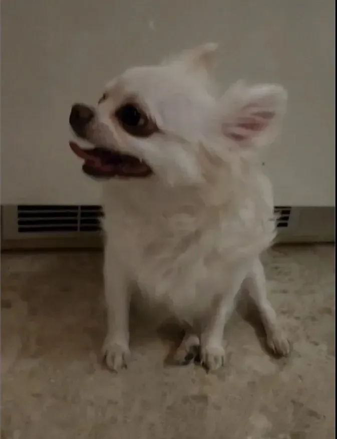 inscription 77bddc198623b12e80e0335451412172527ff9d87eaf7d69c3e7e242b297b7a2i0