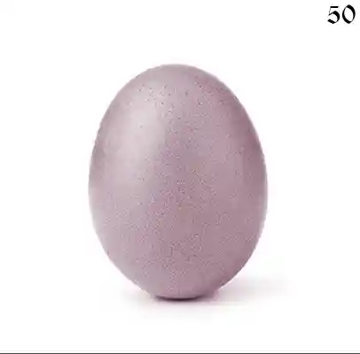 inscription 7d01b6866e50fd56b81ca290b946644fd82641468bb912e9932d8a74affe26aei0