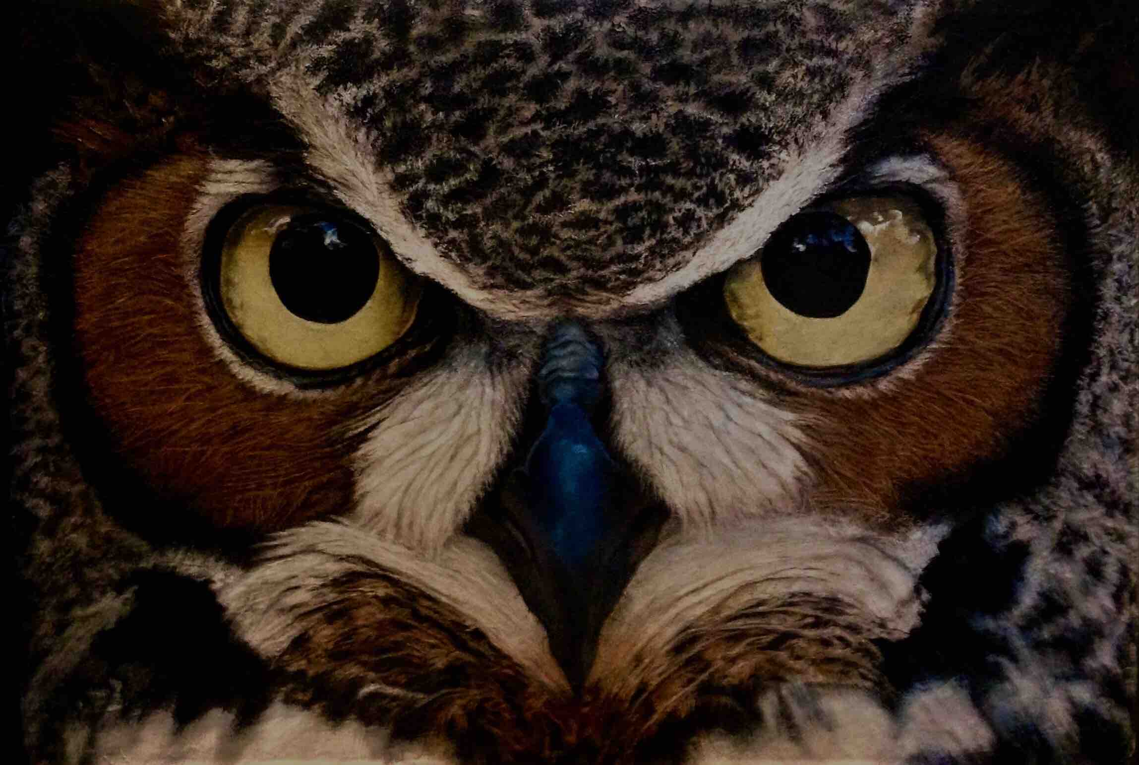 inscription 7dbdb8676337b9c760276eaaa8940bed4a041e360f7f3d2e0934c0d61d118bf0i0