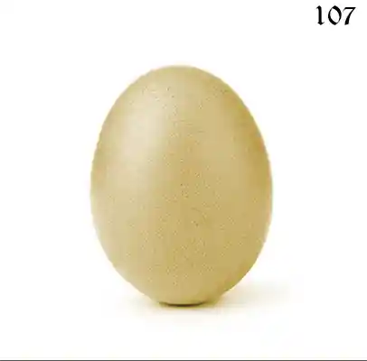 inscription 81adee7d1a688929aac91149a80dcfe65544fe3225e63bc7402d446bf6e47dd6i0