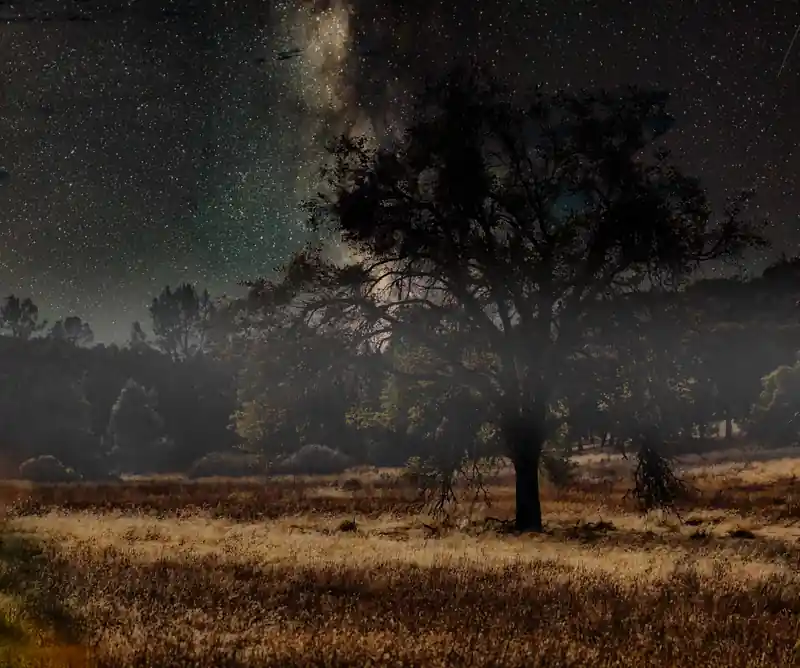 inscription 85fd7d3a0e95992456826ffbffad9d6f570961077aae8030b05ee73a0a4523eei0