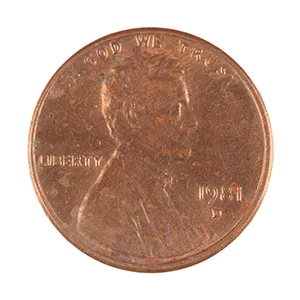 inscription 8927e3384ca2130a46d8b754210d2a3494967d90ec4dcd9f72cf558b8cde05bfi1