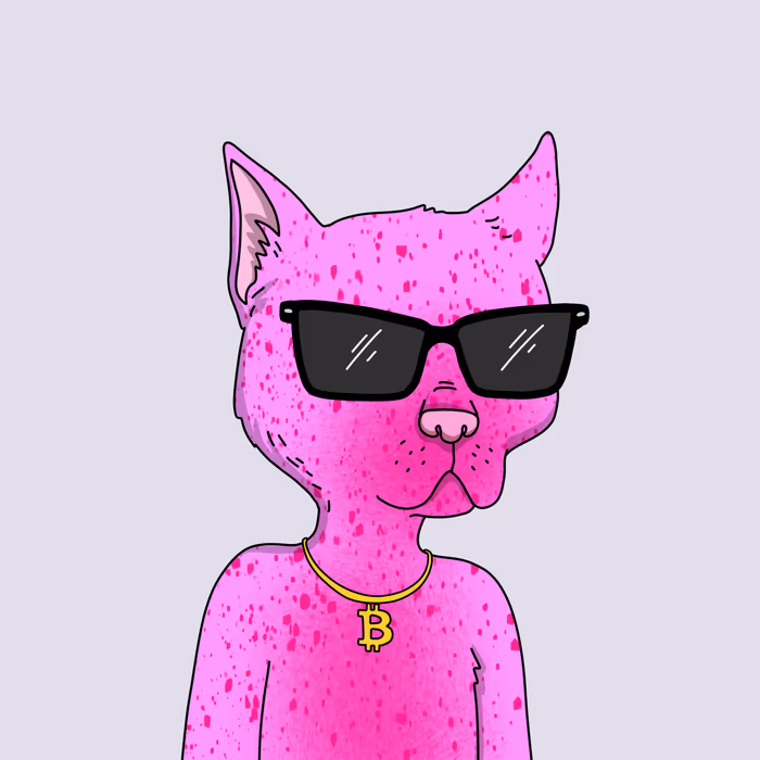 inscription 9c915b91e4f1f0b327661c9a40001450a0bbb963a190d4c6f1ddbe58bdbdd9c9i0