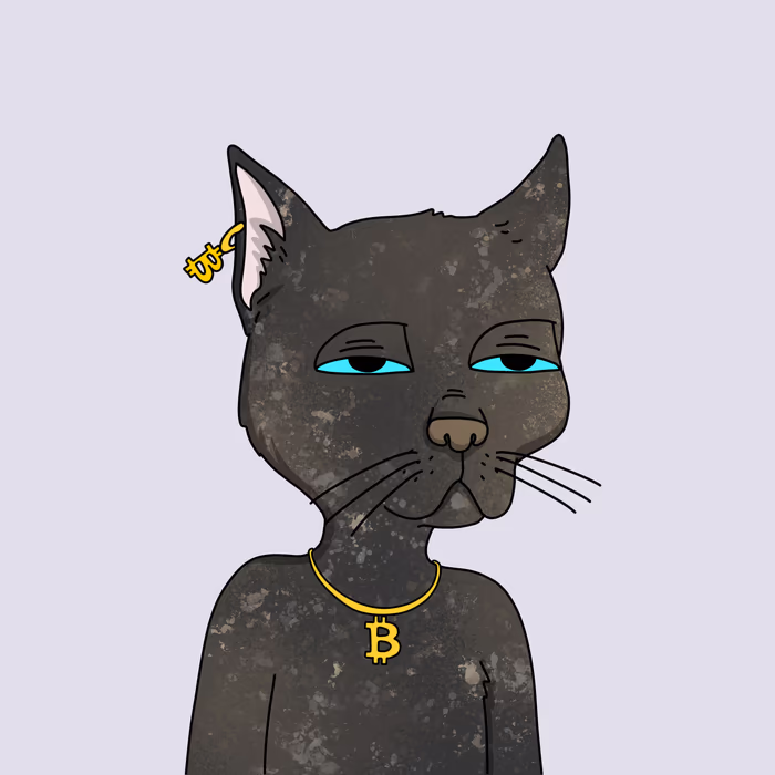 inscription 9c915b91e4f1f0b327661c9a40001450a0bbb963a190d4c6f1ddbe58bdbdd9c9i12