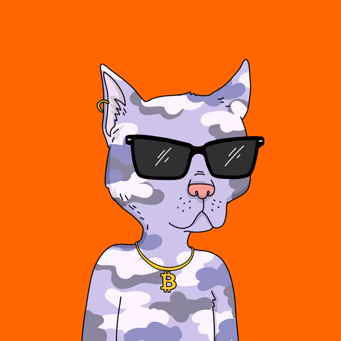 inscription 9c915b91e4f1f0b327661c9a40001450a0bbb963a190d4c6f1ddbe58bdbdd9c9i13