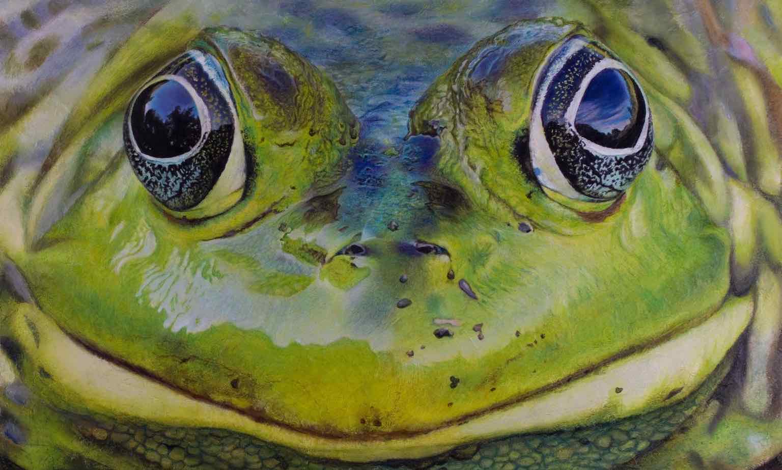 inscription a104d9c84bcb43471a309157f0cd5246575f755f13f559fbef09f401df98b14bi0