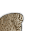 inscription be0d08c34ec5c8404caba54a577d4d4cf12dc43911c580a6fe7d2204e784c0f0i21