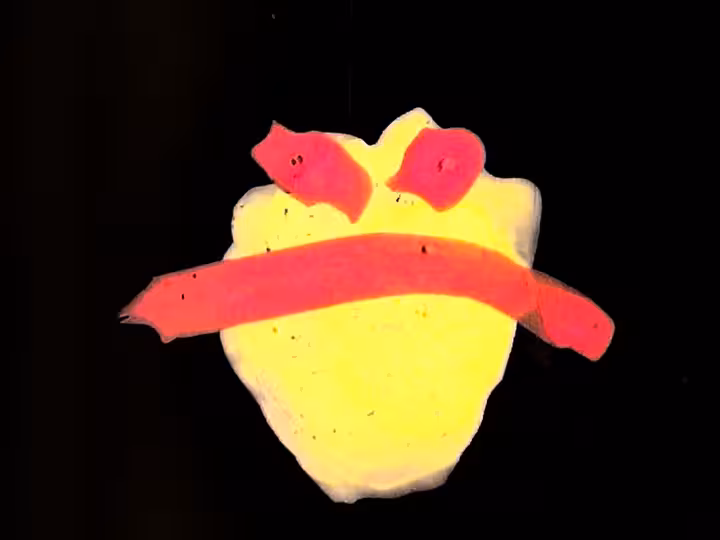 inscription cdf377d4fb41b137f121d62c96e05d688c2aa5b290ac2539f3e909b48b0ee4d7i23