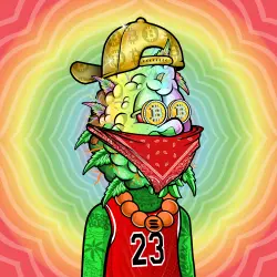 inscription ddc6ce242d51f3c3210078855e7daef034311ecafcd2760399e945442e3b99e3i0