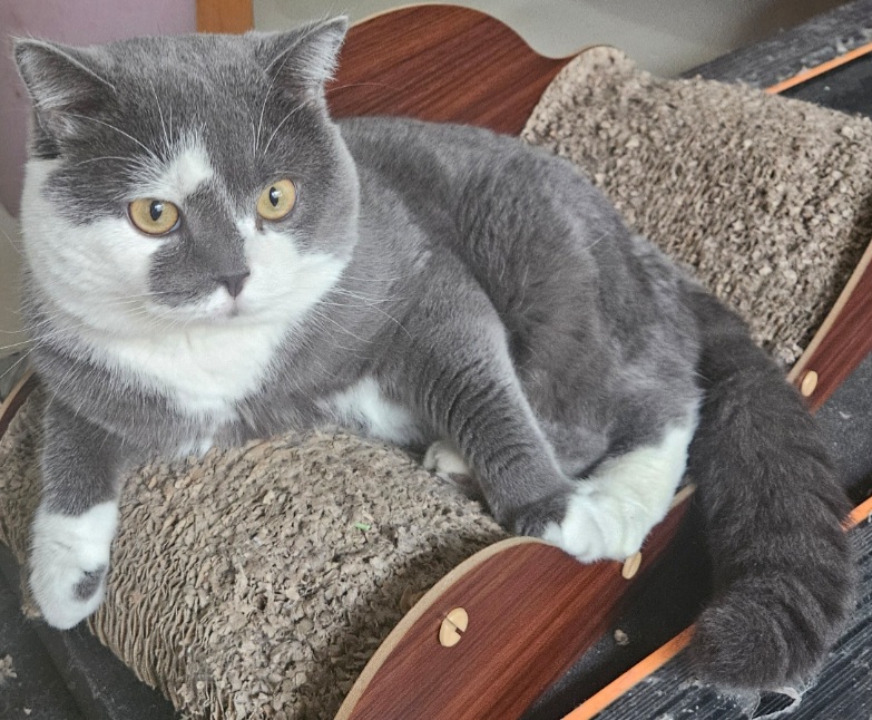 inscription f25ff083088e077e813baff817715d9d7ed9205a5670a8b40d77a2d87f7a4c34i0