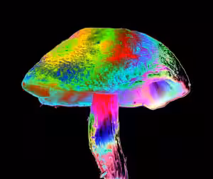 inscription f31e9571877fa88cca3f349b77e2542bba437e8422385bfab732b63f5ad62f04i0