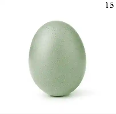 inscription f870d90419c2215c6cc31b21c683af8675569527b636d47d480c8b9c103b3795i0