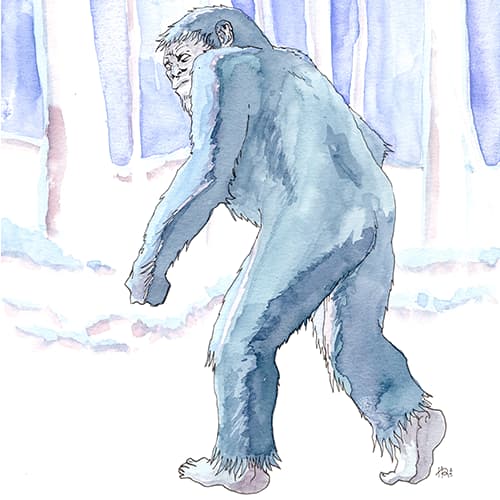 inscription f91474c990cd9b132353450f9fd16fcd1405ac3c07d5f67f7776c2775cc46fa9i2