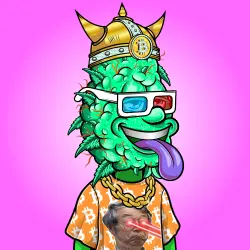 inscription ffce46e9ecc1c55a785adbdf8e4c180681a96368e51920aff14aee9bbd1cd728i0